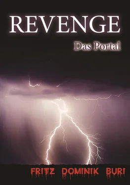 Fritz Dominik Buri Revenge обложка книги