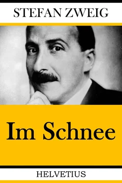 Stefan Zweig Im Schnee обложка книги