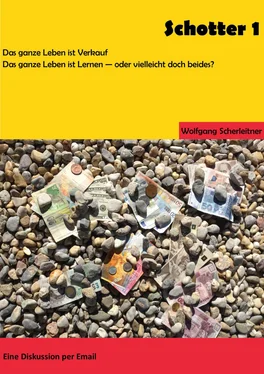 Wolfgang Scherleitner Schotter 1 обложка книги
