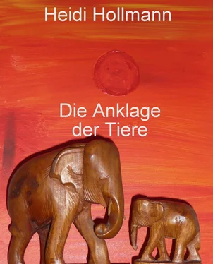 Heidi Hollmann Die Anklage der Tiere обложка книги