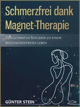 Gunter Stein Schmerzfrei dank Magnet-Therapie обложка книги