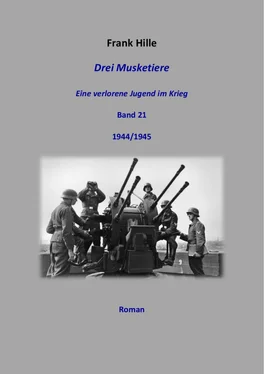 Frank Hille Drei Musketiere - Eine verlorene Jugend im Krieg, Band 21 обложка книги