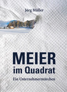 Jörg Müller Meier im Quadrat обложка книги