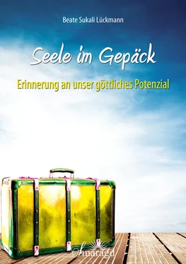 Beate Sukali Lückmann Seele im Gepäck обложка книги