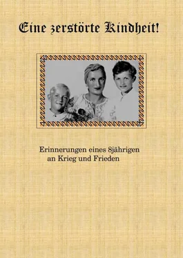 Helmut Gottschalk Eine zerstörte Kindheit обложка книги
