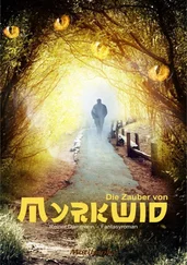 Reiner Dammann - Die Zauber von Myrkwid
