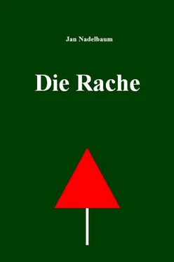 Jan Nadelbaum Die Rache обложка книги