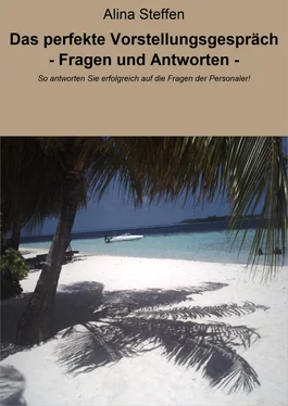 Alina Steffen Das perfekte Vorstellungsgespräch - Fragen und Antworten - обложка книги