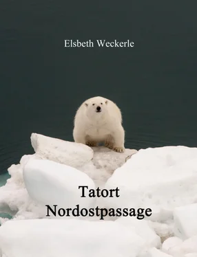 Elsbeth Weckerle Tatort Nordostpassage обложка книги