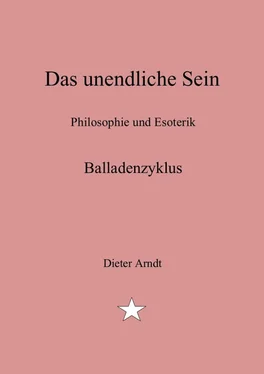 Dieter Arndt Das unendliche Sein обложка книги