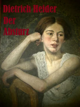 Dietrich Heider Der Absturz обложка книги