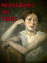 Dietrich Heider - Der Absturz