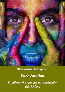 Max Maria Chiemgauer Pure Emotion обложка книги