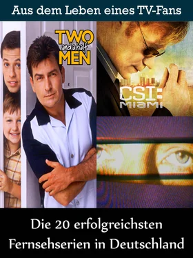 Sybille von Goysern Die 20 erfolgreichsten Fernsehserien in Deutschland обложка книги