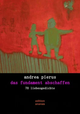 Andrea Pierus das fundament abschaffen обложка книги