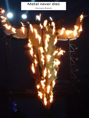 Hermann Brands - Metal never dies