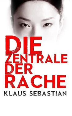 Klaus Sebastian Die Zentrale der Rache обложка книги