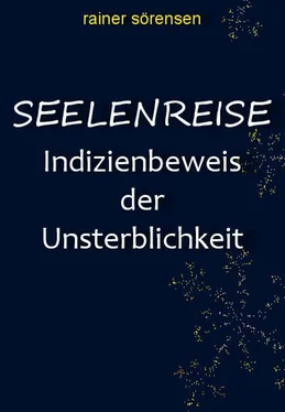 Rainer Sörensen Seelenreise обложка книги