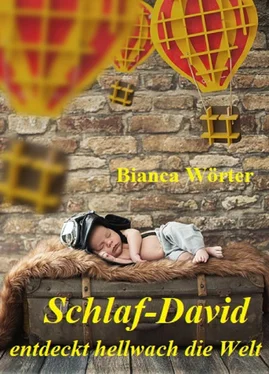 Bianca Wörter Schlaf-David entdeckt hellwach die Welt обложка книги