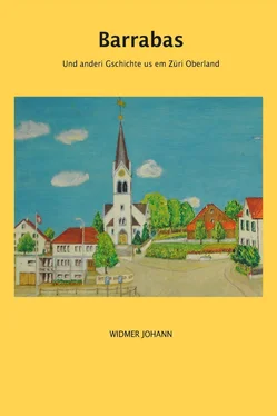 Johann Widmer Barrabas обложка книги