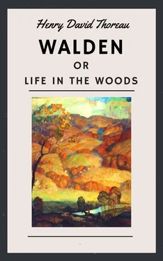 Henry David Thoreau Henry David Thoreau: Walden, or Life in the Woods (English Edition) обложка книги