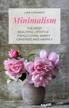Luke Eisenberg Minimalism The Most Beautiful Lifestyle - Finally Living Simply, Carefree and Happily