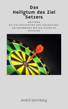 André Sternberg Das Heiligtum des Ziel Setzers обложка книги