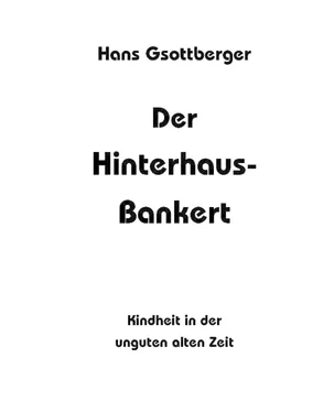 Otto-Gerd Wolfseher Der Hinterhaus-Bankert обложка книги