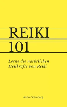 André Sternberg Reiki 101 (mit PLR-Lizenz) обложка книги