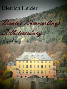 Dietrich Heider Doktor Kümmerlings Selbstwerdung обложка книги