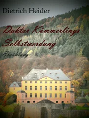 Dietrich Heider - Doktor Kümmerlings Selbstwerdung