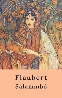 Gustave Flaubert Salammbô (Edition non abrégée) обложка книги