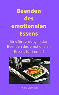 André Sternberg Beenden des emotionalen Essens обложка книги