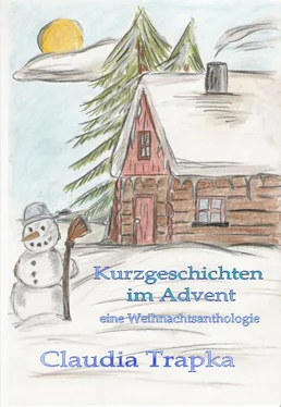 Claudia Trapka Kurzgeschichten im Advent обложка книги