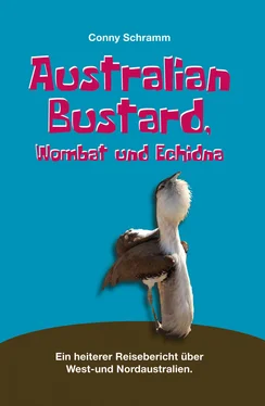 Conny Schramm Australian Bustard, Wombat und Echidna обложка книги