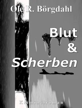 Ole R. Börgdahl Blut und Scherben обложка книги