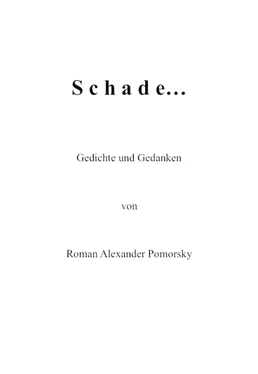 Roman Alexander Pomorsky Schade... обложка книги