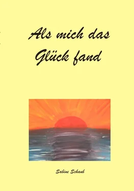 Sabine Schaub Als mich das Glück fand обложка книги