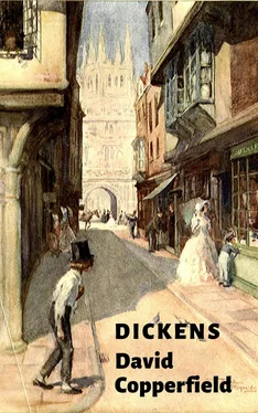 Charles Dickens David Copperfield (Édition intégrale) обложка книги