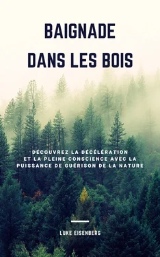 Luke Eisenberg Baignade Dans Les Bois обложка книги