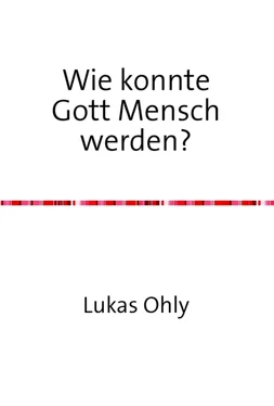 Lukas Ohly Wie konnte Gott Mensch werden? обложка книги