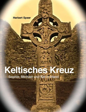 Herbert Speer Keltisches Kreuz обложка книги