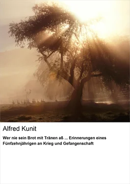 Alfred Kunit Wer nie sein Brot mit Tränen aß ... Erinnerungen eines Fünfzehnjährigen an Krieg und Gefangenschaft обложка книги