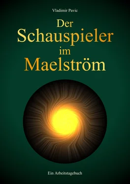 Vladimir Pavic Der Schauspieler im Maelström обложка книги