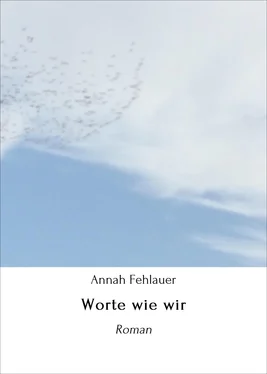 Annah Fehlauer Worte wie wir обложка книги