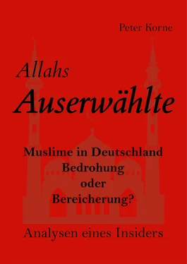 Peter Korne Allahs Auserwählte обложка книги