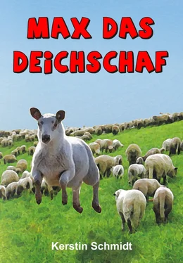 Kerstin Schmidt Max das Deichschaf обложка книги