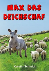 Kerstin Schmidt - Max das Deichschaf