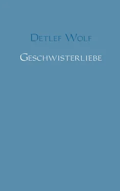 Detlef Wolf Geschwisterliebe обложка книги