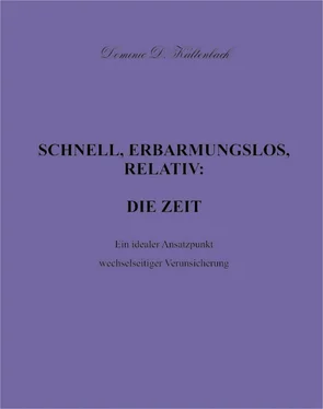 Dominic D. Kaltenbach SCHNELL, ERBARMUNGSLOS, RELATIV: DIE ZEIT обложка книги